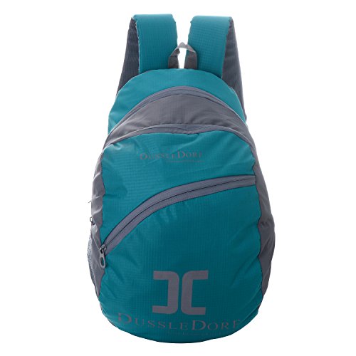 Dussledorf Polyester 12 Liters Turquoise and Gray 2 Compartment 12.00 " Backpack RS.479 (78.00% Off) - Amazon