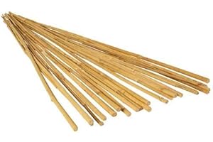 HAZIQ 2ft-3ft-4ft-5ft-6ft Bamboo Canes/Stake/Pole Garden Plant Flower Support Sticks Outdoor/Indoor Plants Support Natural Strong (10, 4ft - 120cm (10-12mm))