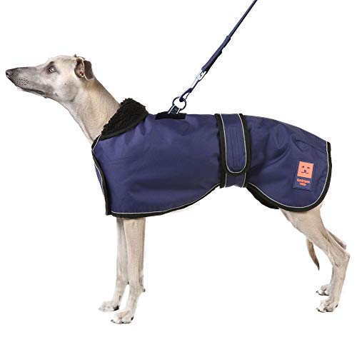 Ginger Ted Waterproof Harness Greyhound Whippet Lurcher Dog Coat - size 22"/56cm Navy Blue - for sighthounds, warm fleecy lining, harness slot, reflective piping, jacket raincoat style