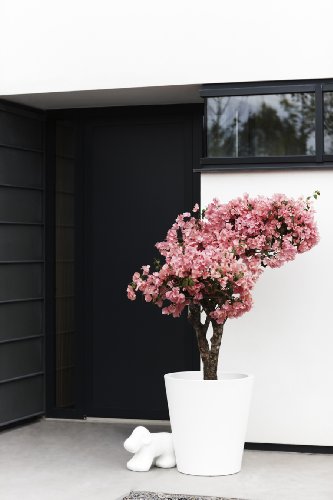 elho Pure Straight Round Pflanzgefäß 50cm – Weiss - 8