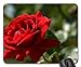 Price comparison product image (Precision seamed) Mouse mat Gaming mouse pad Rose Desktop Mouse Pad, Mousepad (Rose Mouse Pad)