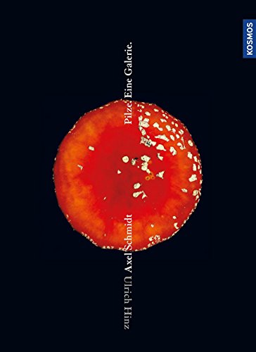 Download Pilze. Die Galerie Download Pilze. Die Galerie