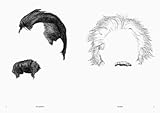 Image de Whose hair ? /anglais