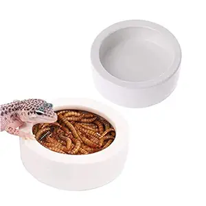 Tfwadmx 2 Pcs Reptile Food Bowl, Ceramic Water Bowl, Worm Dish Feeding, Reptile Dish for Lizard Anoles Bearded Dragons Crested Gecko Hermit Crabs Triangular Leopard Gecko Chameleon Corn Snake