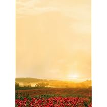 Motivpapier Rote Ahornblätter – 20 Blatt DIN A4, 90 G/m², Herbstliches Briefpapier