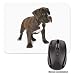 Produktbild American Staffordshire Terrier Welpe Bild Design Rubber Mauspad