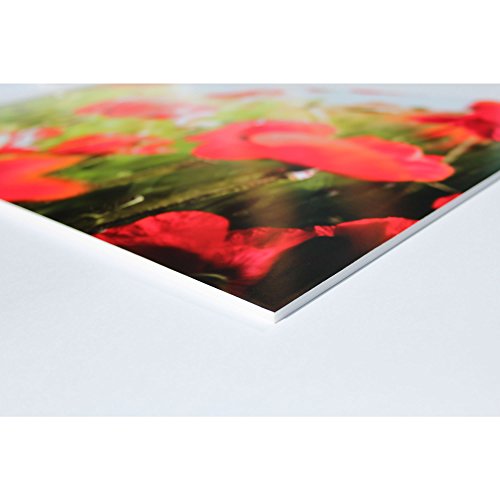 Leichtschaumplatte „Weiß“ selbstklebend – 50x70cm – 5mm stark - 8