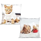 100% Polyester Katze mit Pullover wendbar Dekorative Kissenhülle Kissenbezug Fall Home Decor