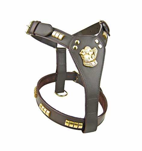 Avon-Pet-Products-Staff-Bull-Terrier-Brass-Studded-Leather-Harness-Brown
