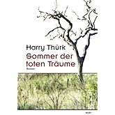 Sommer der toten Träume: Roman