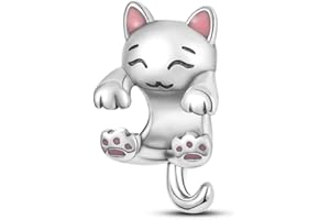 KUNVONIC Charm Suspension Ladies 925 Sterling Silver for Bracelet Charms Beads odpowiedni do Pandora bransoletki i obręcznika, kompatybilny z europejskimi bransoletkami dla kobiet dziewczyn