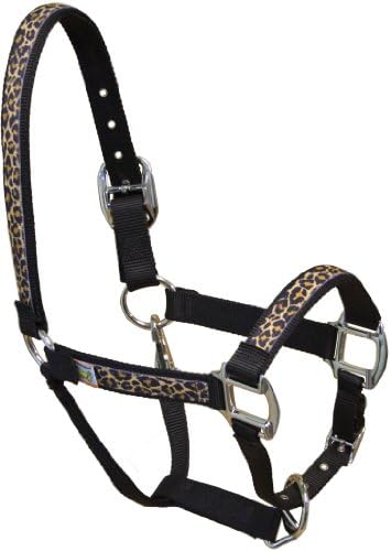 Red Haute Horse LTL1401 P Equine Elite Horse Halter, Leopard Teal