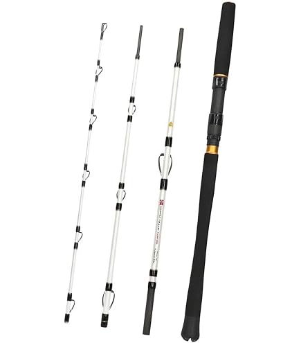 Daiwa BG Offshore Travel Pilk 2.70 m 50-200 g Travel Rod Sports & Outdoors