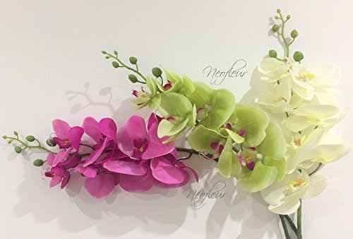 3 x Beautiful Artificial Real Touch 34" Phalaenopsis Orchid Stem flowers with 7 blooms for bridal bouquets, Wedding Flowers, Wedding Centrepieces &amp; Cylinder Vases (Green Phalaenopsis Orchid)