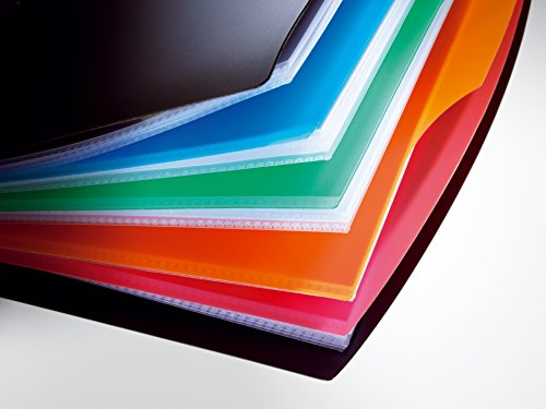 Durable Duralook Style - Funda para documentos DIN A4 con 20 fundas  color negro