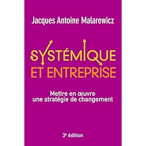 Systémique et entreprise : Mettre en oeuvre une stratégie de changement