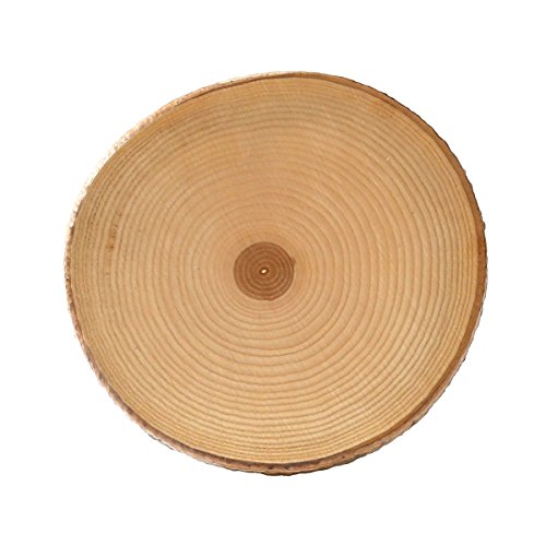 Rundes Rindenbrett lackiert, Holzbrett, Baumscheibe, Servierbrett, Wurstbrett, Käsebrett, verschiedene Größen, Brettgröße:ca. 18 – 20 cm Durchmesser - 6