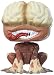 Produktbild FunKo 11752 POP Vinylfigur: Resident Evil: Licker