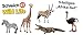 Produktbild Schleich Savanne Tiere mit Strauß, Antilope, Krokodil, Giraffe und Zebra