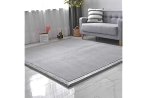 Dmkjdzsw Coral Velvet MatArea Rugs,Yoga Mat Exercise Pads,children'sLarge Foldable Play Mat, Extra Soft Activity Floor Mat Playroom Bedroom-I-60 * 100cm