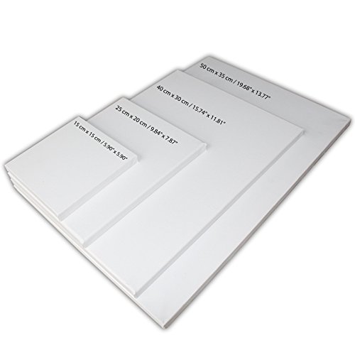 comprare on line BELLE VOUS 4 Tela pittorica bianca Akademie, qualità pregiata tela per dipingere con cunei in legno-Tensione Regolabile. prezzo