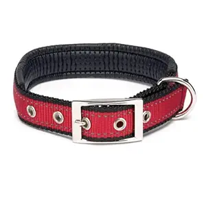 Zack & Zoey Polyester Reflective Cushion Dog Collar, 22-26-Inch, Red