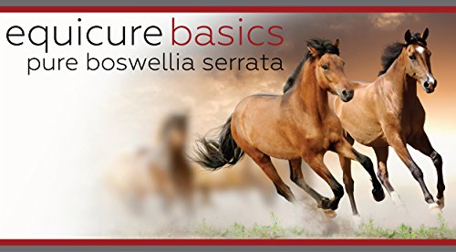 Equicure-Basics-Pure-Boswellia-Serrata-Equine-Supplement