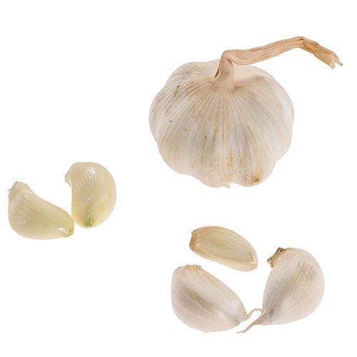 Westmark Mehrzweckpresse, Nussknacker/Entkerner/Fischentschupper, Länge: 16 cm, Aluminium, Extracta, Silber, 30002260 - 2