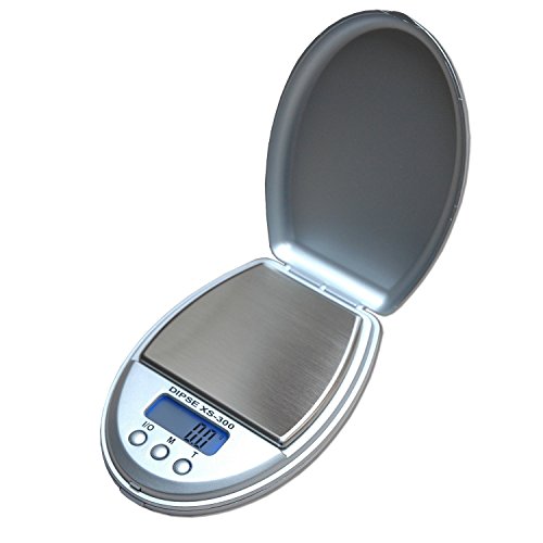 DIPSE feinwaage XS 300 Argento - Bilancia digitale con Max. 300 G con 0,1 G Divisione