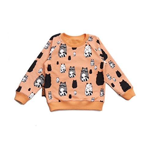 Filemon Kid Reversible Sweatshirt Raccoons - Cante - Size 80-86cm - 12-18 months