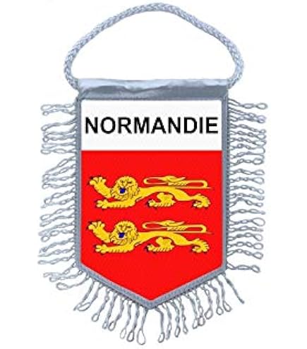 Fanion Mini Drapeau Voiture - Blason France Cannes - Déco Auto Souvenir