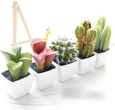 2 Branch Real touch Dried Flower Tabletop Flower Artificial FlowersColor randomization