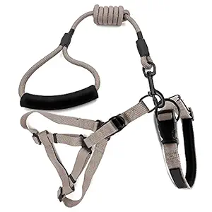 PoochBox Dog Combo Pack of Harness, Neck Collar Belts and Rope Set (25mm)