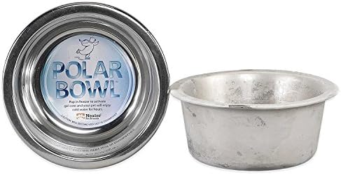 Neater Pet BrandsPolar Bowl Freezable Water Bowl For Pets Medium Stainless Steel