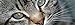 Produktbild 1art1 74345 Katzen - Grau Getigertes Kätzchen-Portrait Poster Leinwandbild Auf Keilrahmen 120 x 40 cm