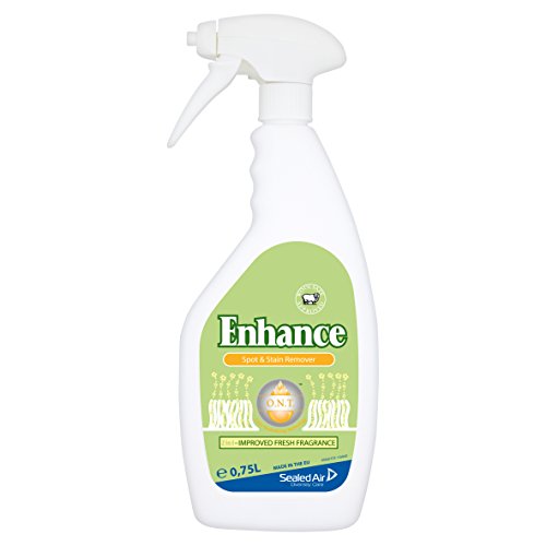 Diversey ENHANCE 411090 Spot and Stain Remover, carpet stain remover, odour neutralising technology, 750 mL