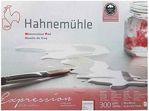 Hahnemühle - Cartulina para acuarela (100% algodón, mate, 300 g/m2, 30 x 40 cm, 20 hojas)