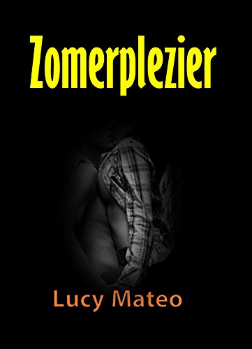 Ebook Zomerplezier