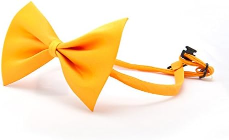Premium dog fly, loop for dogs, bow tie for dogs (yellow)