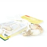 Veilchenwurzel Doppelpack (B-Ware) günstig NEU - 6