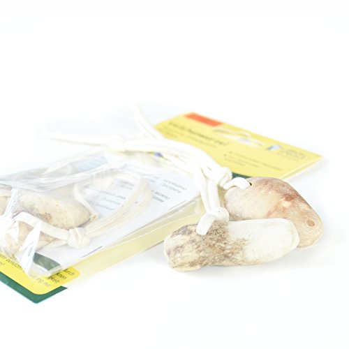 Veilchenwurzel Doppelpack (B-Ware) günstig NEU - 6