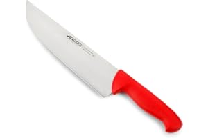 Arcos Coltello da Macellaio in Acciaio Inossidabile – Coltello da Cucina Professionale per Tagliare Carne, Pesce e Verdure – Manico Ergonomico in Poliossimetilene, Lama da 250 mm – Serie 2900, Blu
