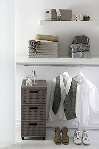 Rotho 1165508080 Aufbewahrungskiste Dekobox Country in Rattan-Optik aus Kunststoff (PP), Inhalt circa 4 L, Format A6+, circa 23,7 x 15,8 x 10,8 cm, schwarz - 2