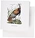 Produktbild 3drose Wild Turkey von John James Audubon (Grußkarten, Set 12 (GC 114070 _ 2)