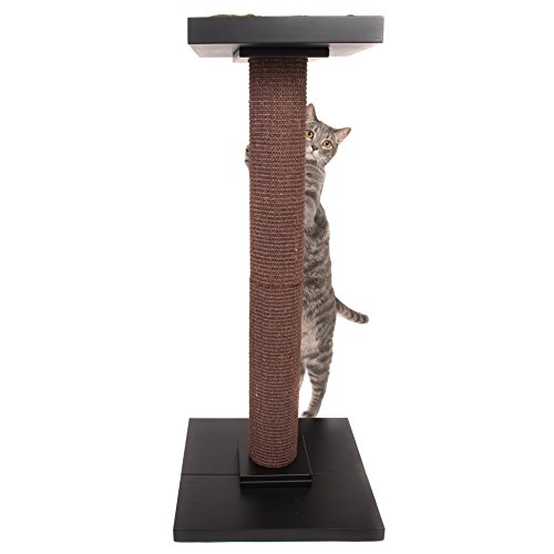 tallest cat scratching post