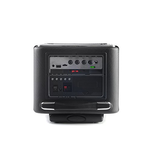 NGS Wild Funky - Altavoz port  til con Bluetooth