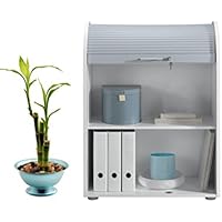 Suchergebnis auf Amazon.de für: Rollschrank Rollschrank: Küche