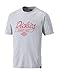 Produktbild Kultmarke !!! DICKIES T-Shirt NORTHWOOD SH 5021 grau Shirt, Größe:XXXL