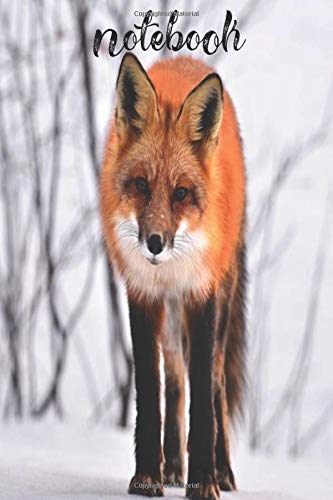 Notebook: Homework Book Notepad Composition and Journal Diary