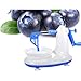 Produktbild Apfelschäler Mini-Fruchtschäler Multi-funktionale Kartoffelmango Jujuwi-Peeling-Maschine Home Küche Portable Gürtel mit 8-Klingen-Apfelschäler grün 200×130.8×110.5mm,Blue